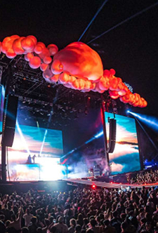 First Collection Start